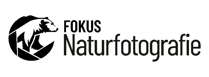 Fokus Naturfotografie